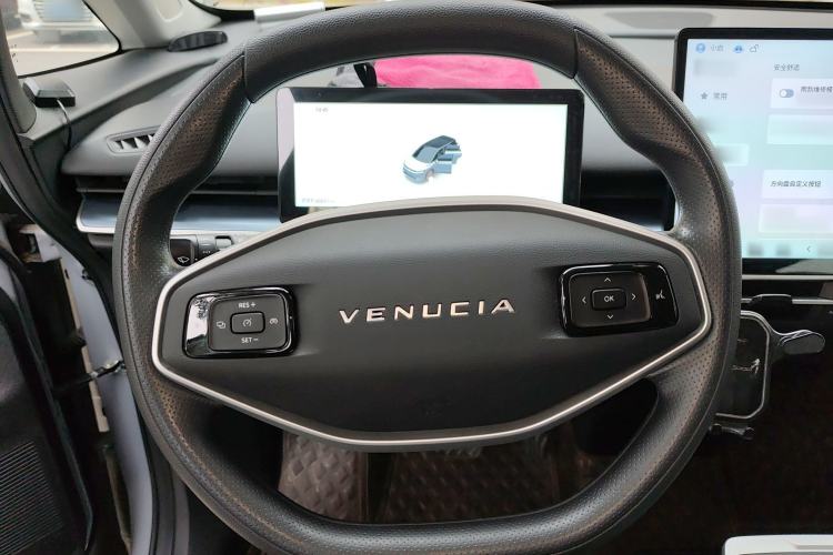 Used Venucia VX6 2024 520 Travel Edition Steering Wheel