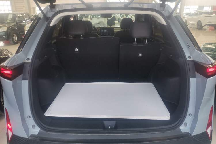 Used Venucia VX6 2024 450 Travel Edition Trunk