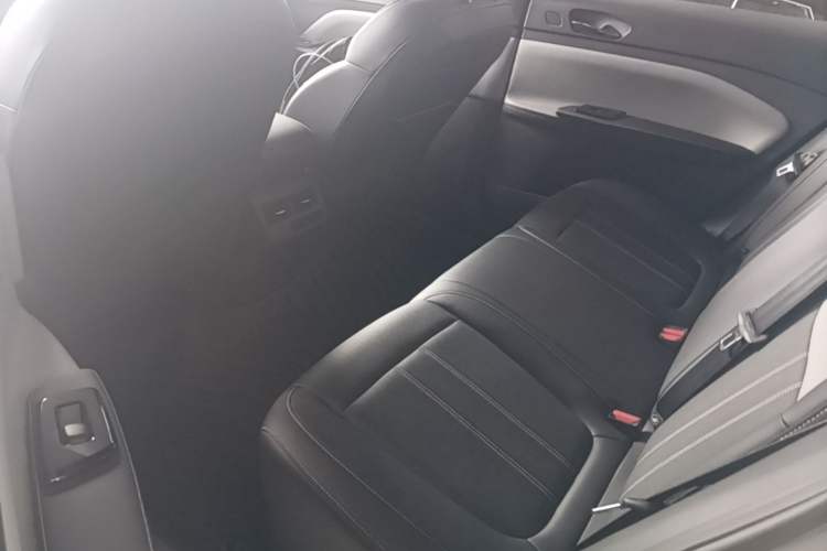 Used Venucia VX6 2024 520 Executive Edition Left Rear Seat