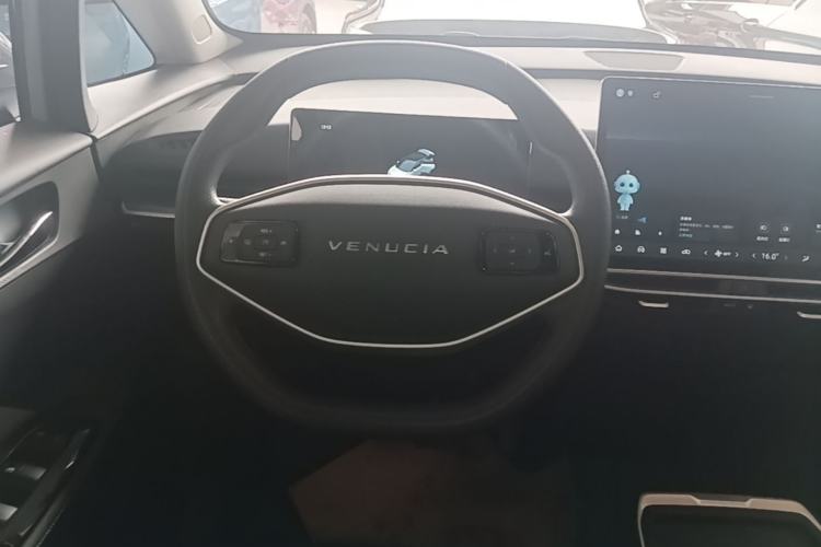 Used Venucia VX6 2024 520 Executive Edition Steering Wheel