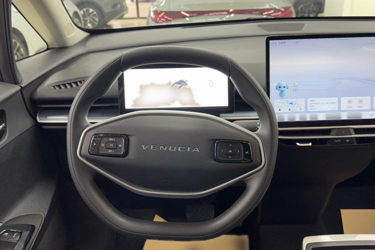 Used Venucia VX6 2024 520 Travel Edition Steering Wheel