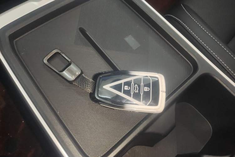 Used Venucia VX6 2024 520 Travel Edition Vehicle Key