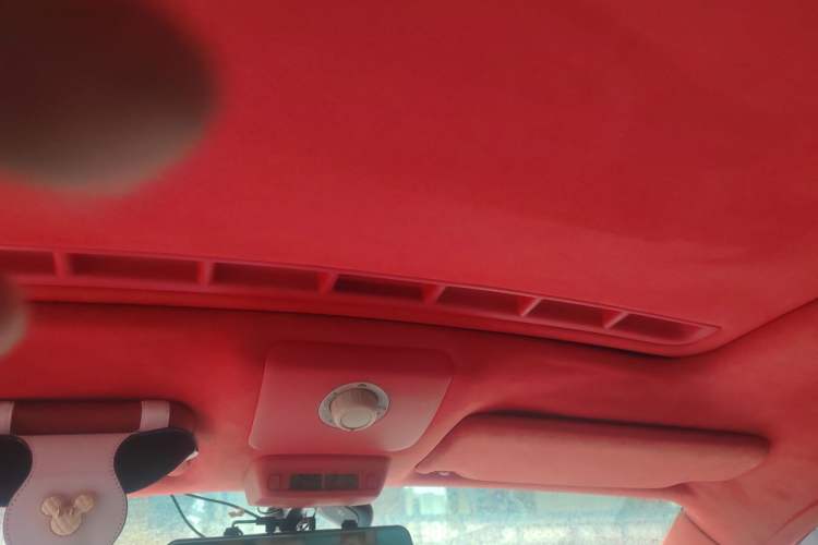 Used Volkswagen Beetle 2008 2.0 AT Standard Edition Headliner