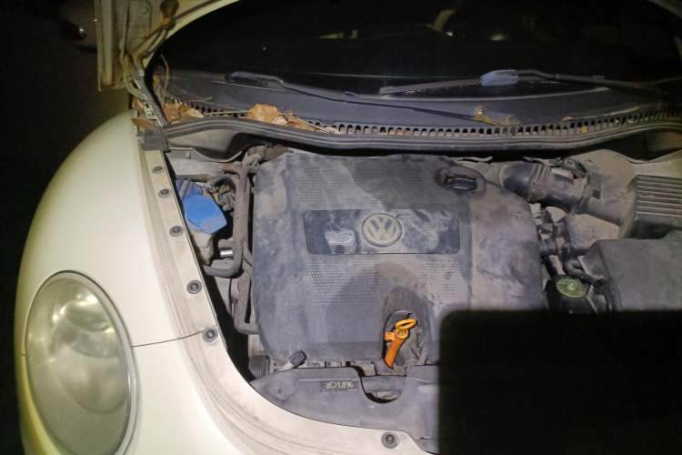 Used Volkswagen Beetle 2010 1.6 AT Engine Bay Right