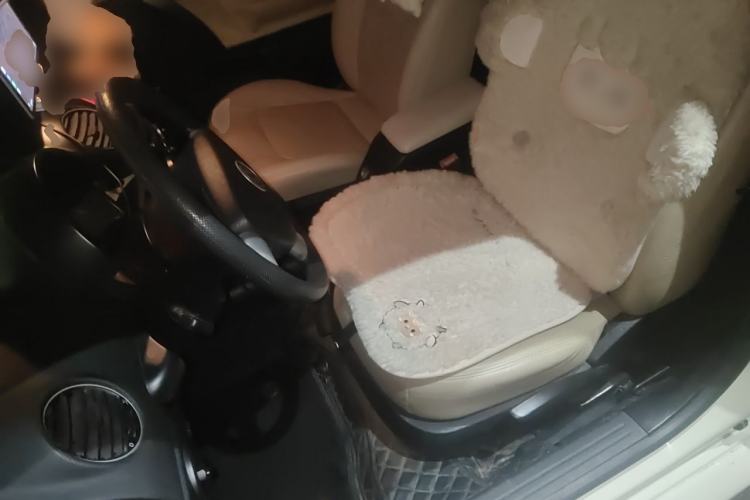 Used Volkswagen Beetle 2010 1.6 AT Left Front Seat