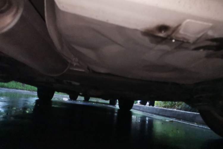 Used Volkswagen Beetle 2010 1.6 AT Chassis Rear
