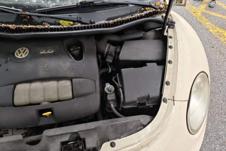 Used Volkswagen Beetle 2010 2.0 BlackOrange Comfort Edition Engine Bay Left