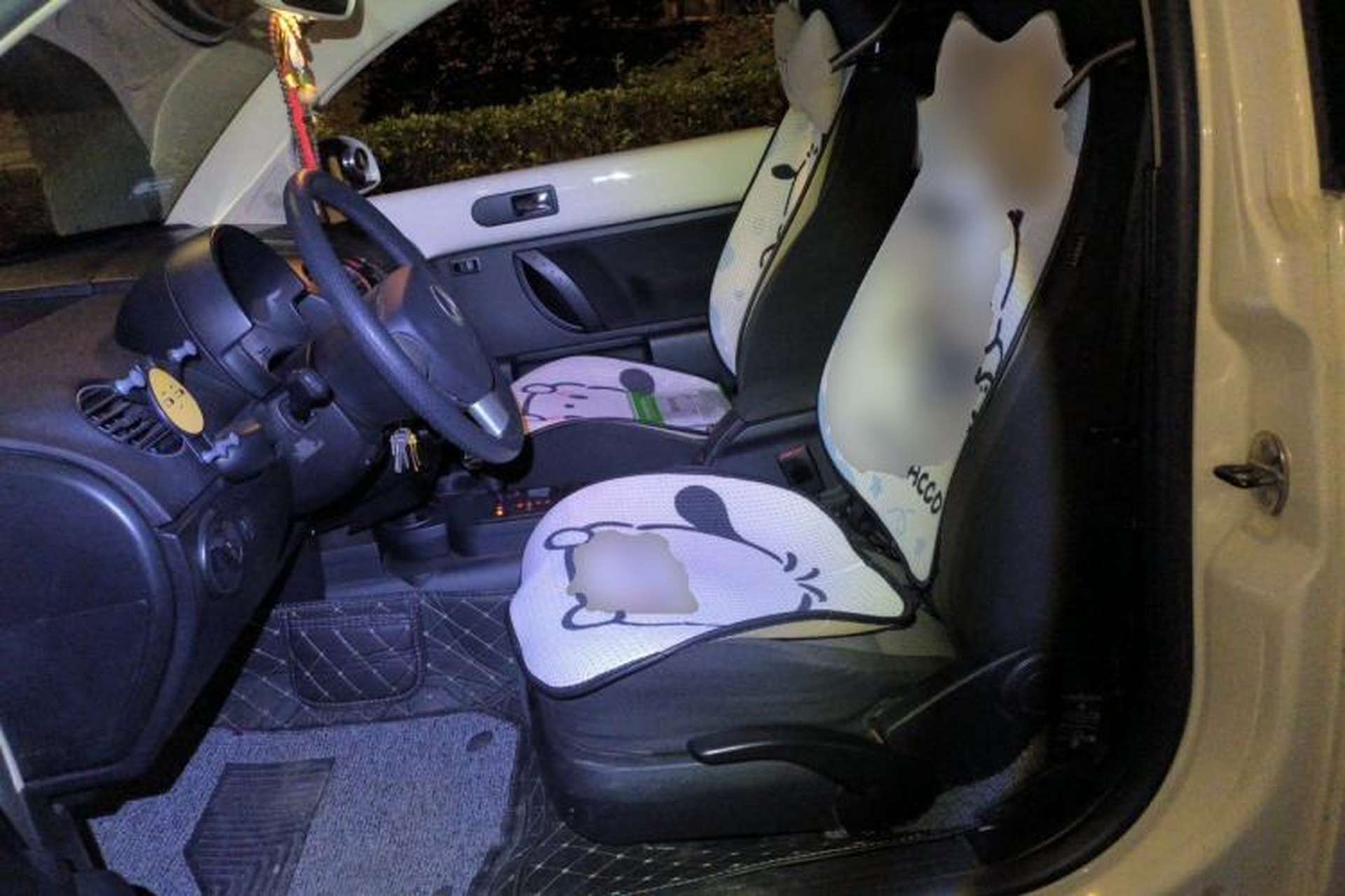 Used Volkswagen Beetle 2010 1.6 AT Left Front Seat