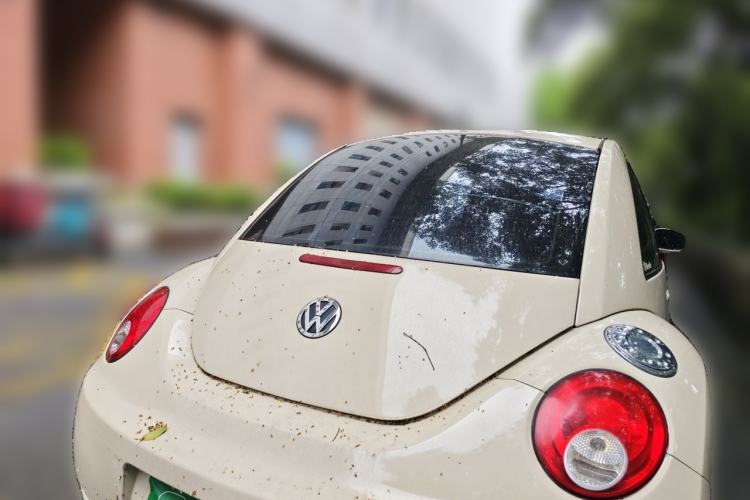 Used Volkswagen Beetle 2010 2.0 BlackOrange Comfort Edition Rear
