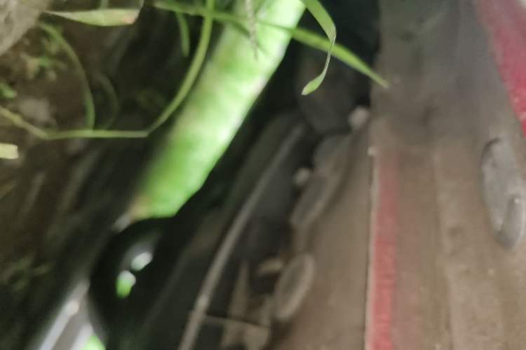 Used Volkswagen Beetle 2014 1.2TSI Comfort Model Chassis Rear Right