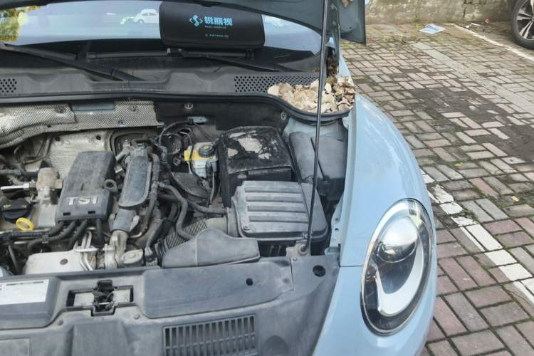 Used Volkswagen Beetle 2015 180TSI model Engine Bay Left