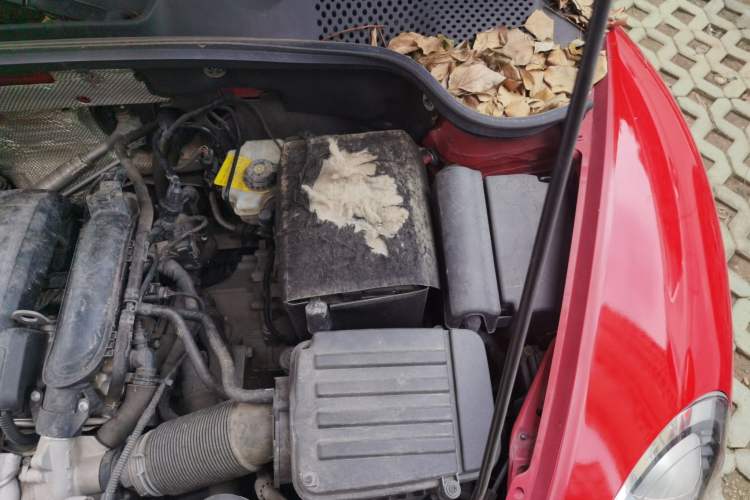 Used Volkswagen Beetle 2015 180TSI model Engine Bay Left