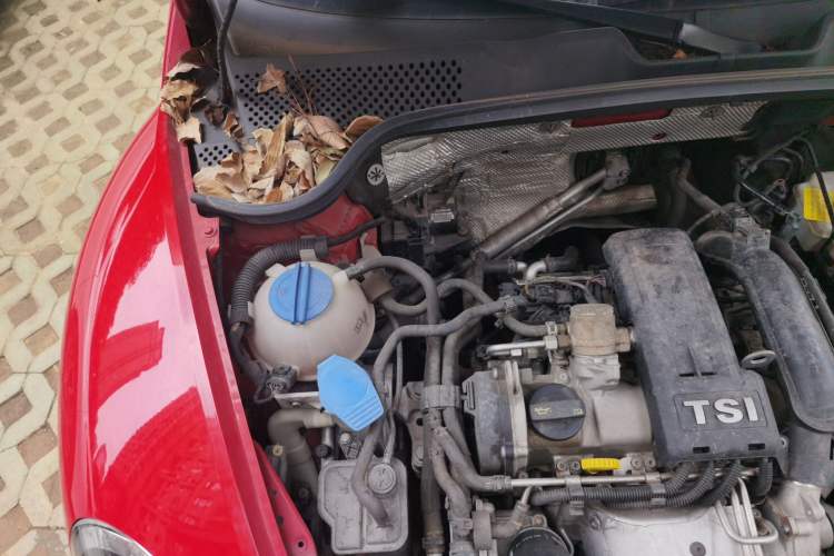 Used Volkswagen Beetle 2015 180TSI model Engine Bay Right