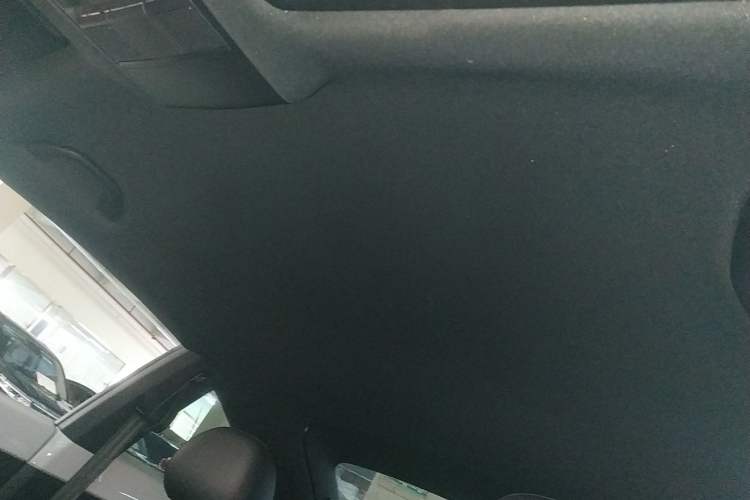 Used Volkswagen Beetle 2015 180TSI model Headliner