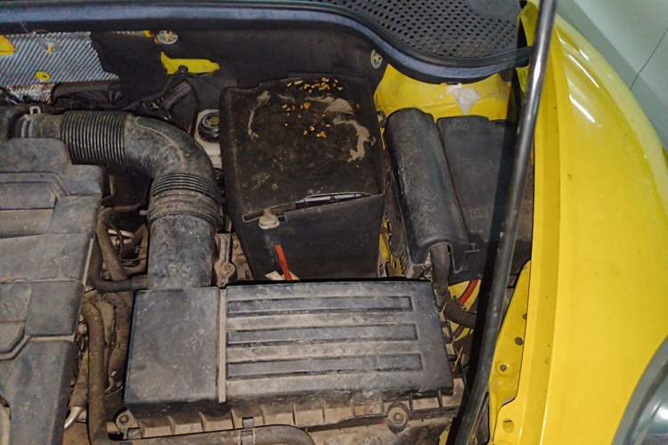 Used Volkswagen Beetle 2015 280TSI Engine Bay Left