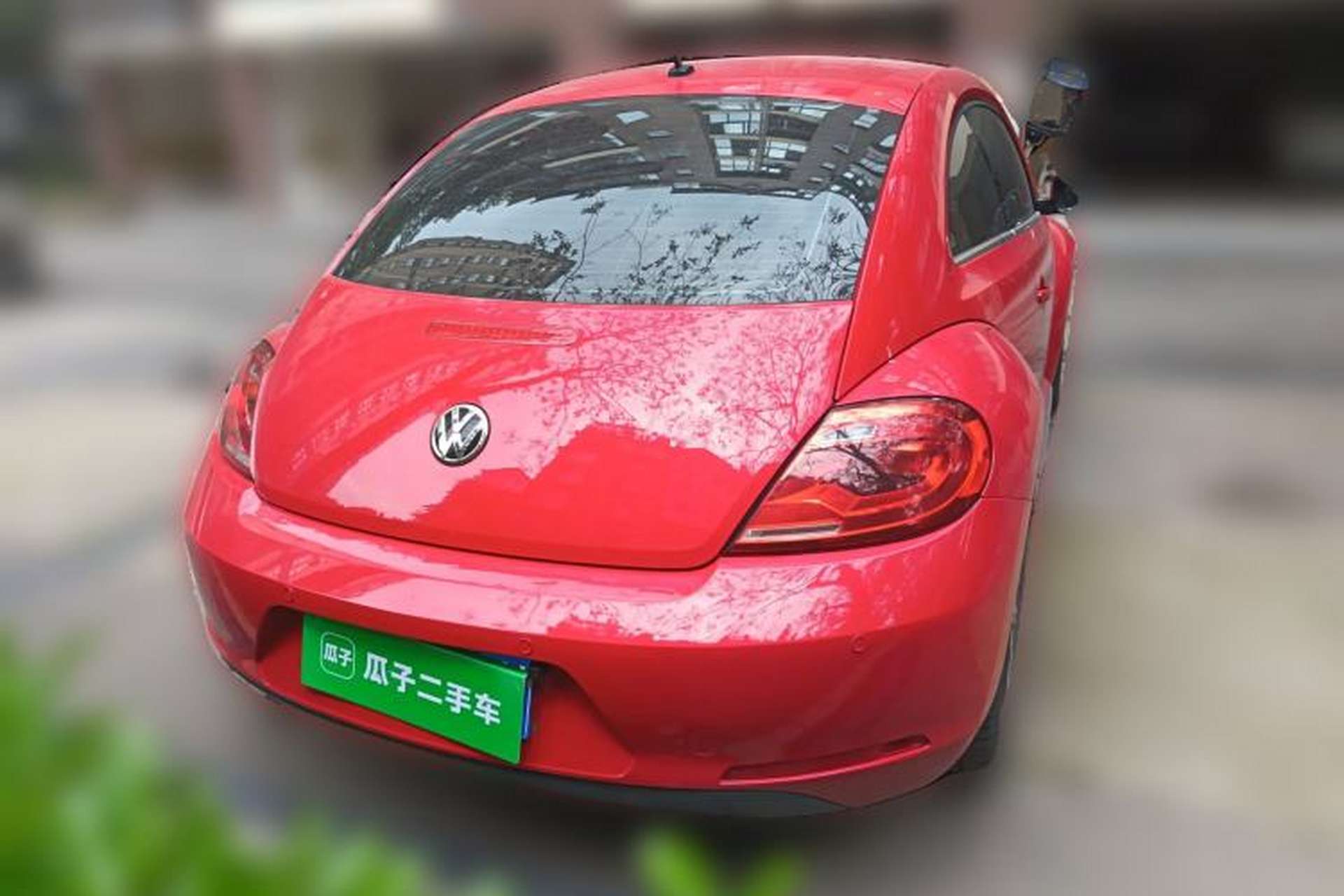 Used Volkswagen Beetle 2016 180TSI Club Edition Rear