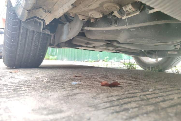Used Volkswagen Beetle 2017 180TSI Shangle Edition Chassis Rear Right