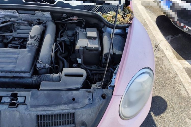 Used Volkswagen Beetle 2018 180TSI Yile Model Engine Bay Left