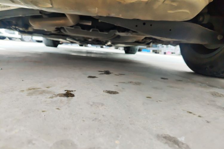 Used Volkswagen Beetle 2018 180TSI Yile Model Chassis Rear