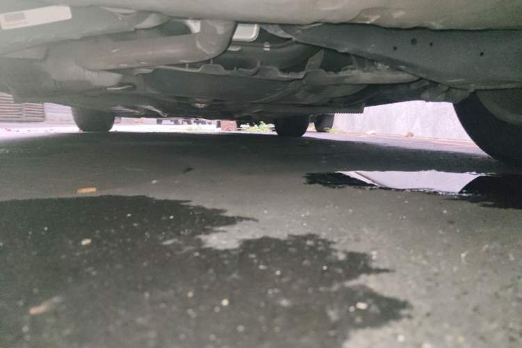 Used Volkswagen Beetle 2018 180TSI Yile Model Chassis Rear
