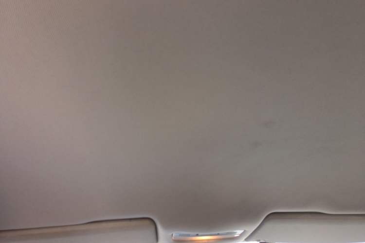 Used Volkswagen Bora 2008 1.6L Automatic Fashion Edition Headliner