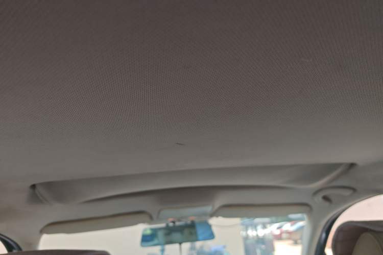 Used Volkswagen Bora 2008 1.6L Automatic Comfort Edition Headliner