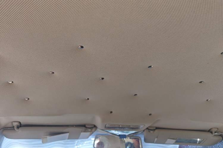 Used Volkswagen Bora 2008 1.6L Automatic Fashion Edition Headliner