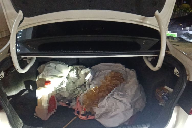 Used Volkswagen Bora 2011 1.4T AT Sportline Trunk