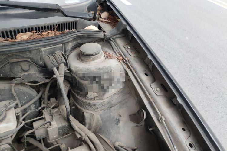 Used Volkswagen Bora 2012 1.6L Manual Fashion Edition Engine Bay Left