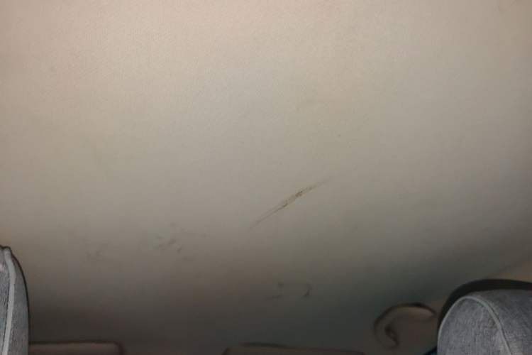 Used Volkswagen Bora 2012 1.6L Automatic Fashion Edition Headliner