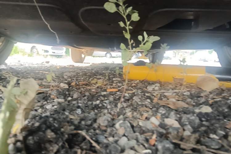 Used Volkswagen Bora 2013 1.6L Manual Comfort Model Chassis Front