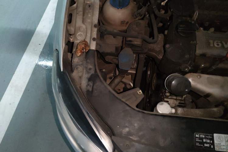Used Volkswagen Bora 2013 1.6L Automatic Comfort Model Engine Bay Right