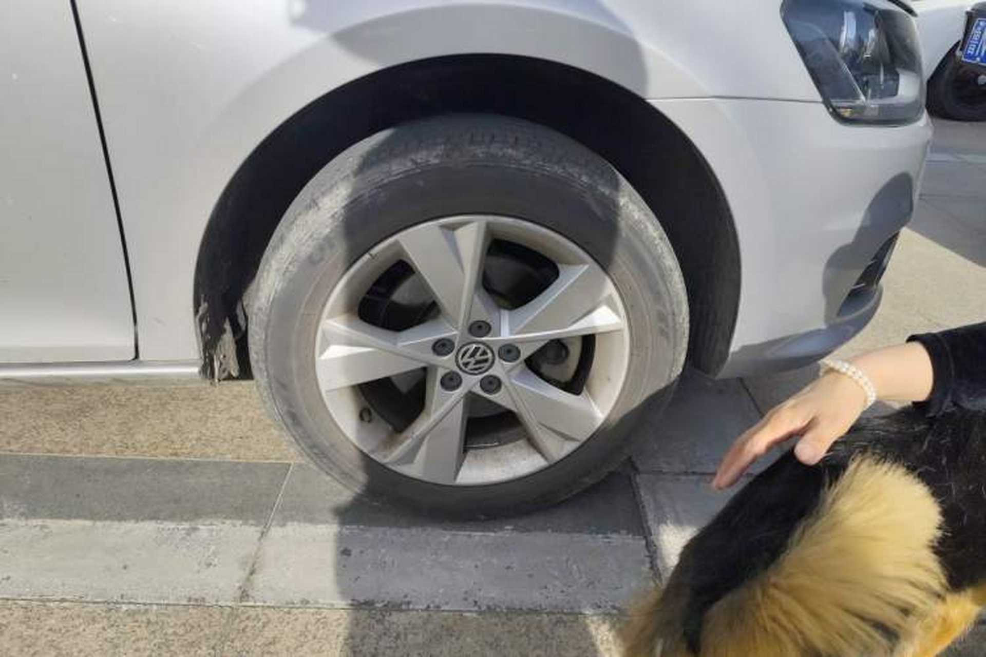 Used Volkswagen Bora 2013 1.6L Automatic Comfort Model Right Front Wheel Hub