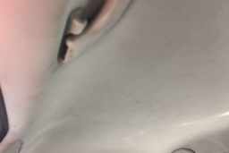 Thumbnail 19