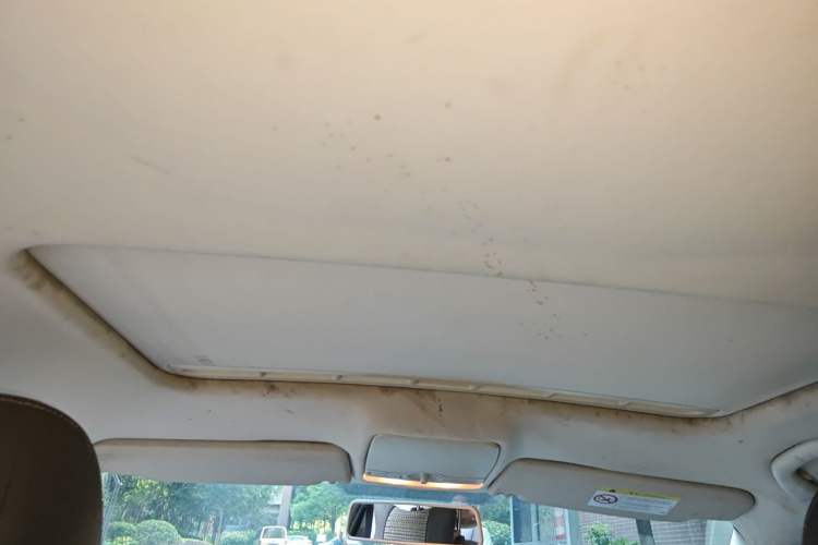 Used Volkswagen Bora 2014 1.6L Manual Comfort Model Headliner