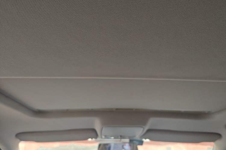 Used Volkswagen Bora 2014 1.6L Manual Comfort Model Headliner
