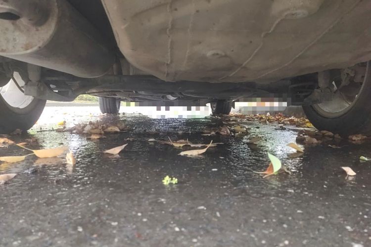 Used Volkswagen Bora 2014 1.6L Manual Comfort Model Chassis Rear