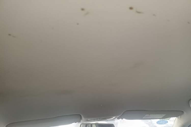 Used Volkswagen Bora 2014 1.6L Manual Fashion Edition Headliner