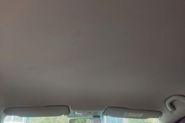 Used Volkswagen Bora 2015 Value Edition 1.6L Manual Fashionable Style Headliner