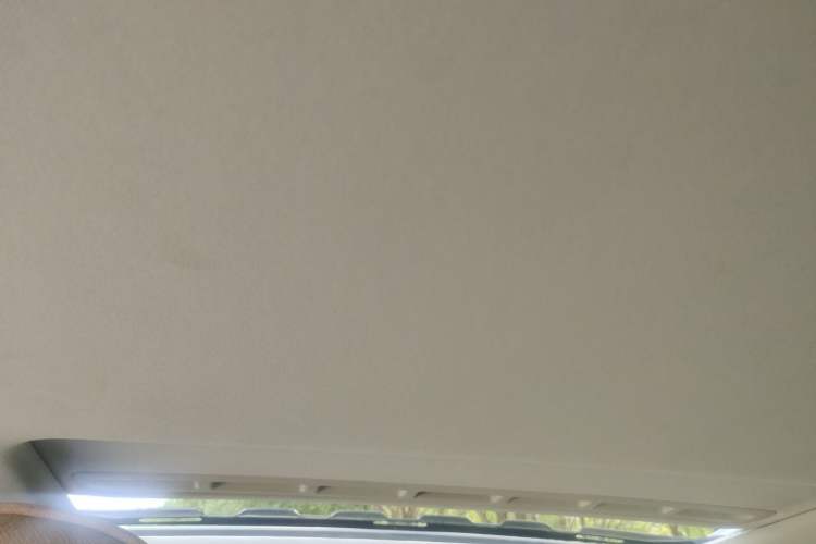 Used Volkswagen Bora 2016 1.6L Manual Comfort Model Headliner
