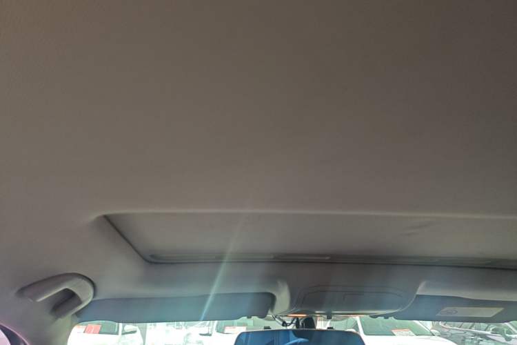 Used Volkswagen Bora 2016 230TSI DSG 25th Anniversary Edition Headliner