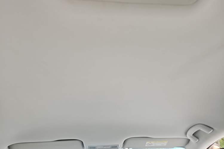 Used Volkswagen Bora 2017 1.6L Automatic Fashion Model Headliner