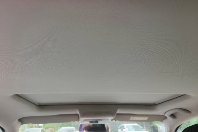 Used Volkswagen Bora 2017 1.6L Manual Comfort Model Headliner