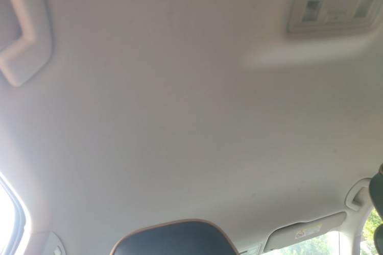 Used Volkswagen Bora 2019 Revised Version 1.5L Automatic Fashionable Style China VI Headliner
