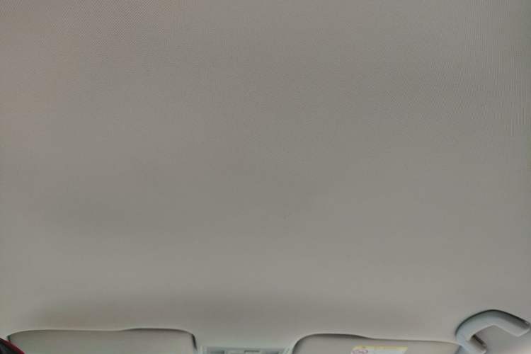 Used Volkswagen Bora 2019 Bora·Legend 1.5L Automatic Fashion Edition China V Standard Headliner