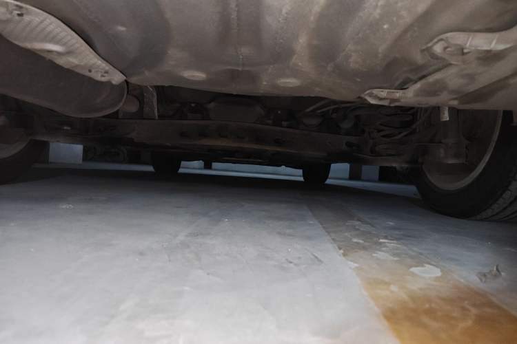 Used Volkswagen Bora 2019 1.5L Automatic Comfort Model Chassis Rear