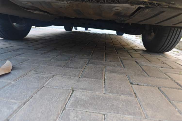 Used Volkswagen Bora 2019 1.5L Automatic Fashion Model Chassis Rear