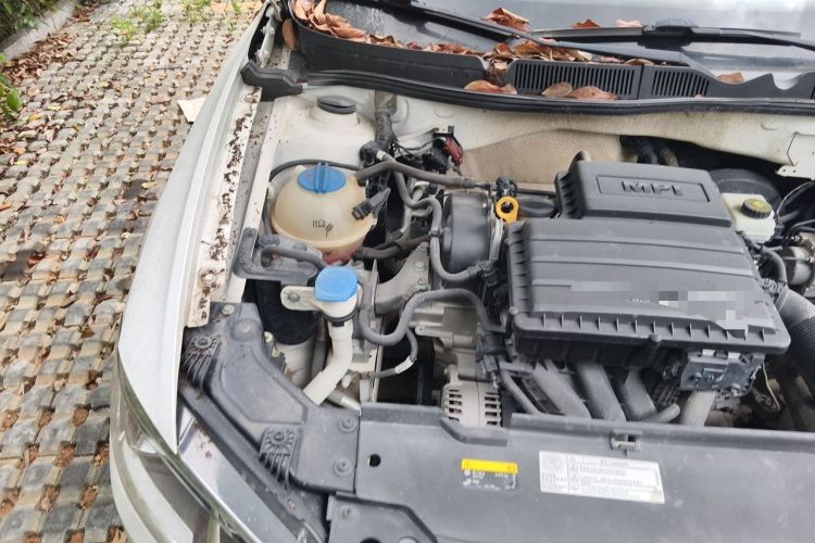 Used Volkswagen Bora 2019 Bora·Legend 1.5L Manual Fashion Edition China V Standard Engine Bay Right