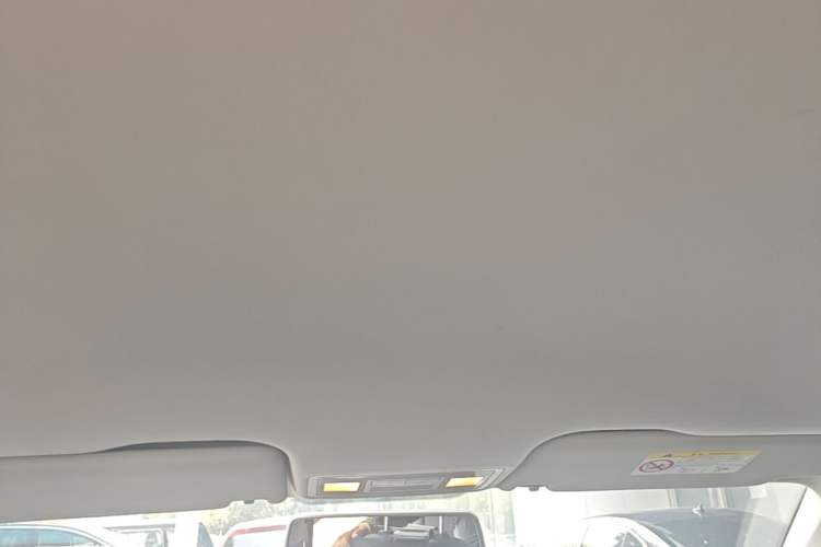 Used Volkswagen Bora 2019 Bora·Legend 1.5L Automatic Fashion Edition China VI Standard Headliner