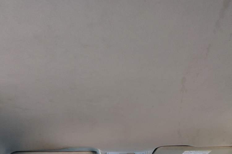 Used Volkswagen Bora 2019 Revised Version 1.5L Automatic Fashionable Style China VI Headliner
